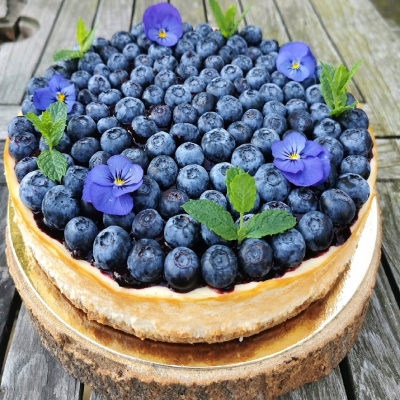 blueberry cheescake